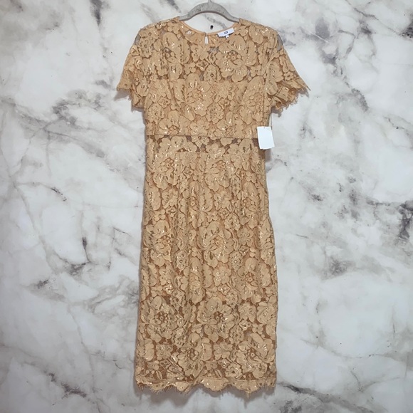 NSR Beige Lace Midi Dress - Picture 2 of 13